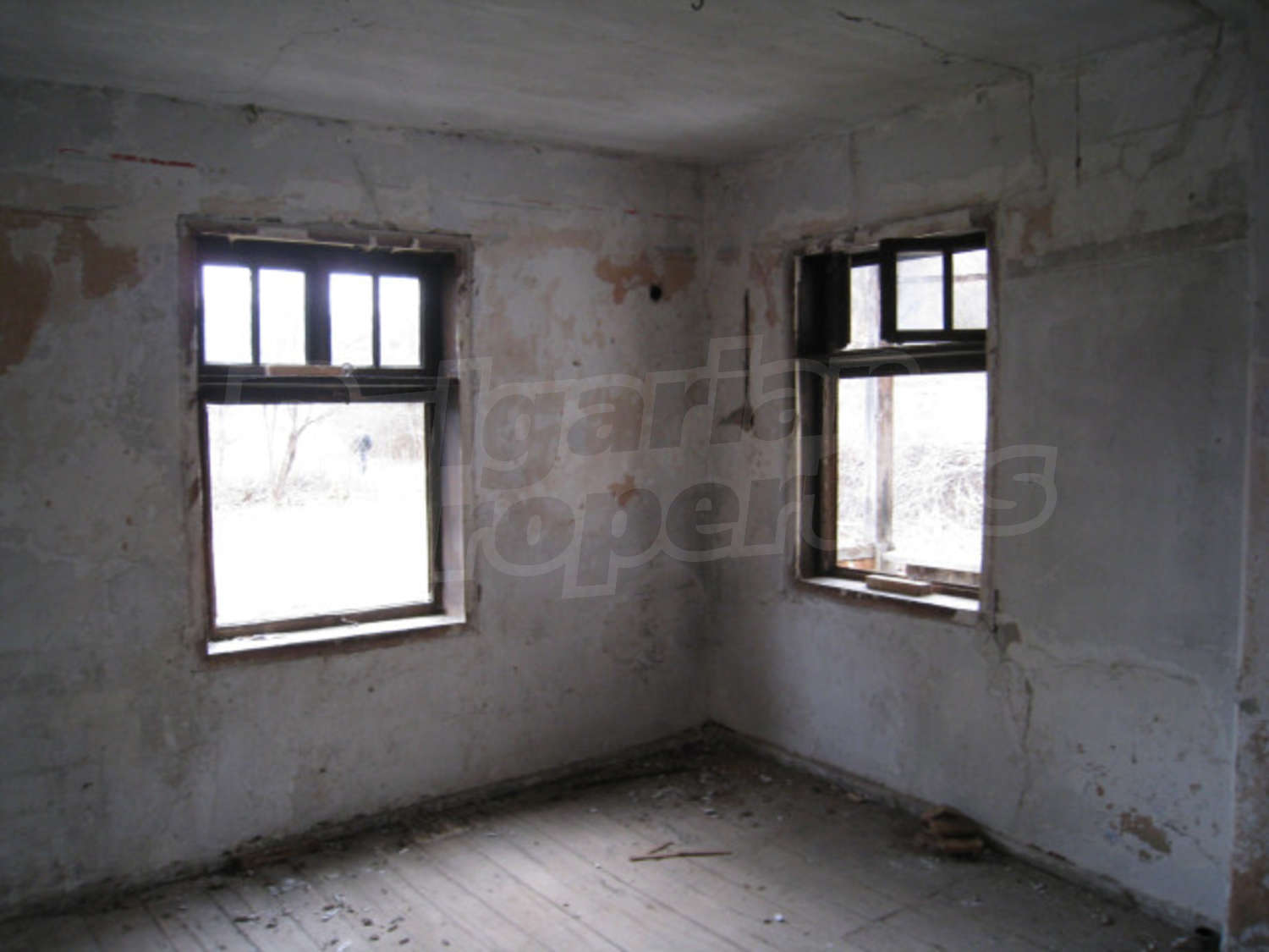 Gallery Picture 9