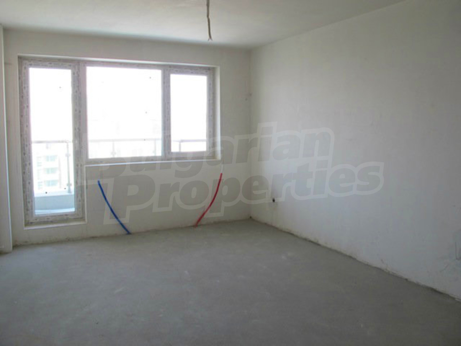 Gallery Picture 12