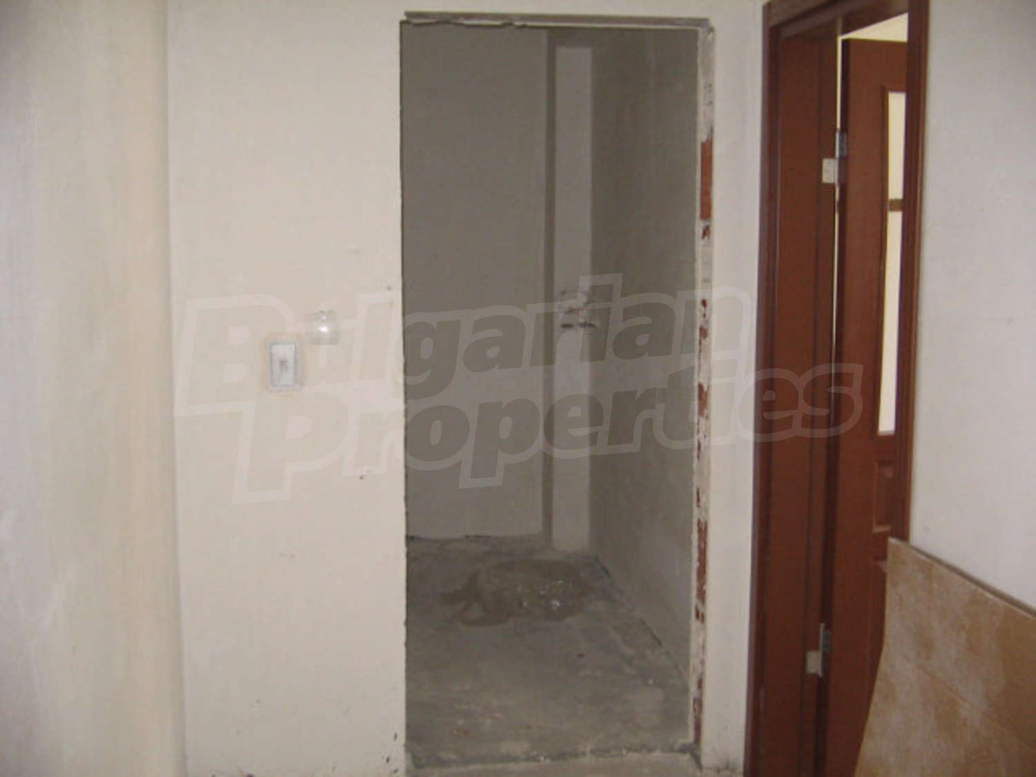 Gallery Picture 3