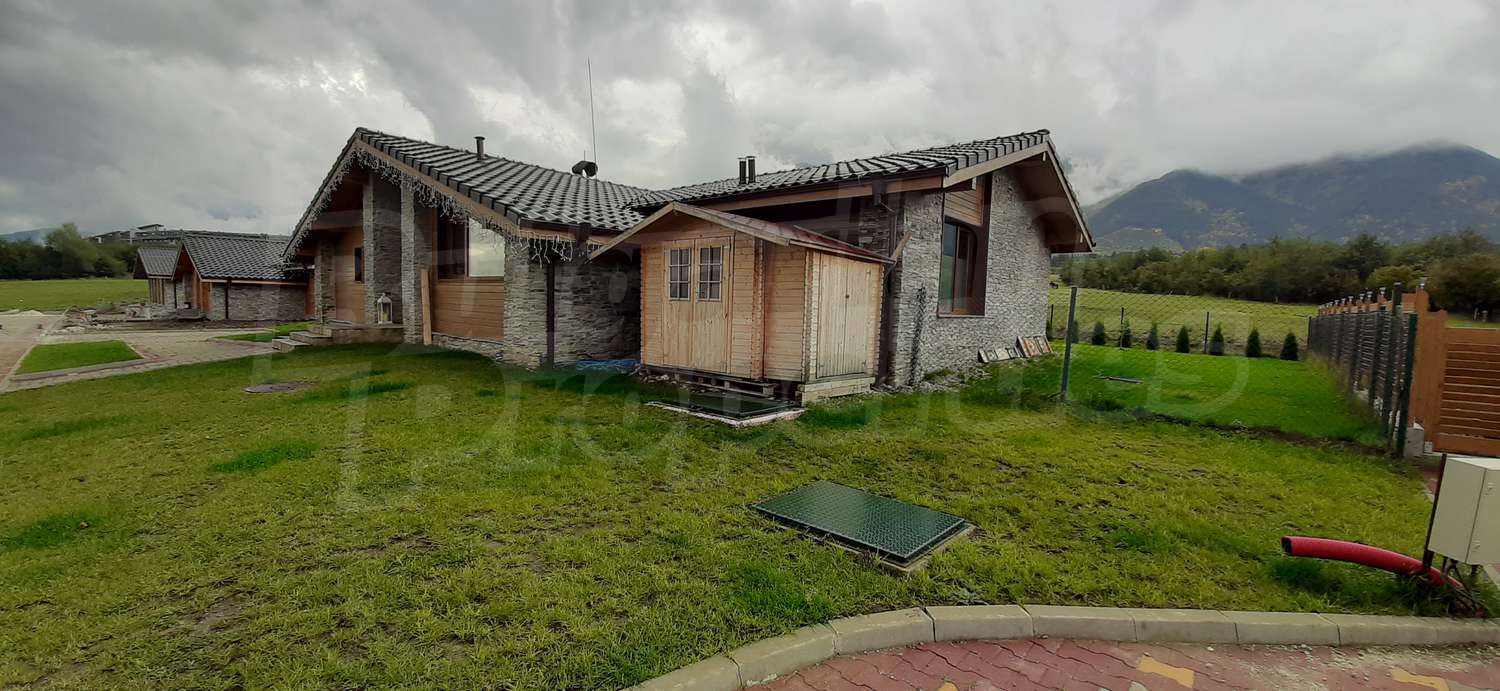 Gallery Picture 18