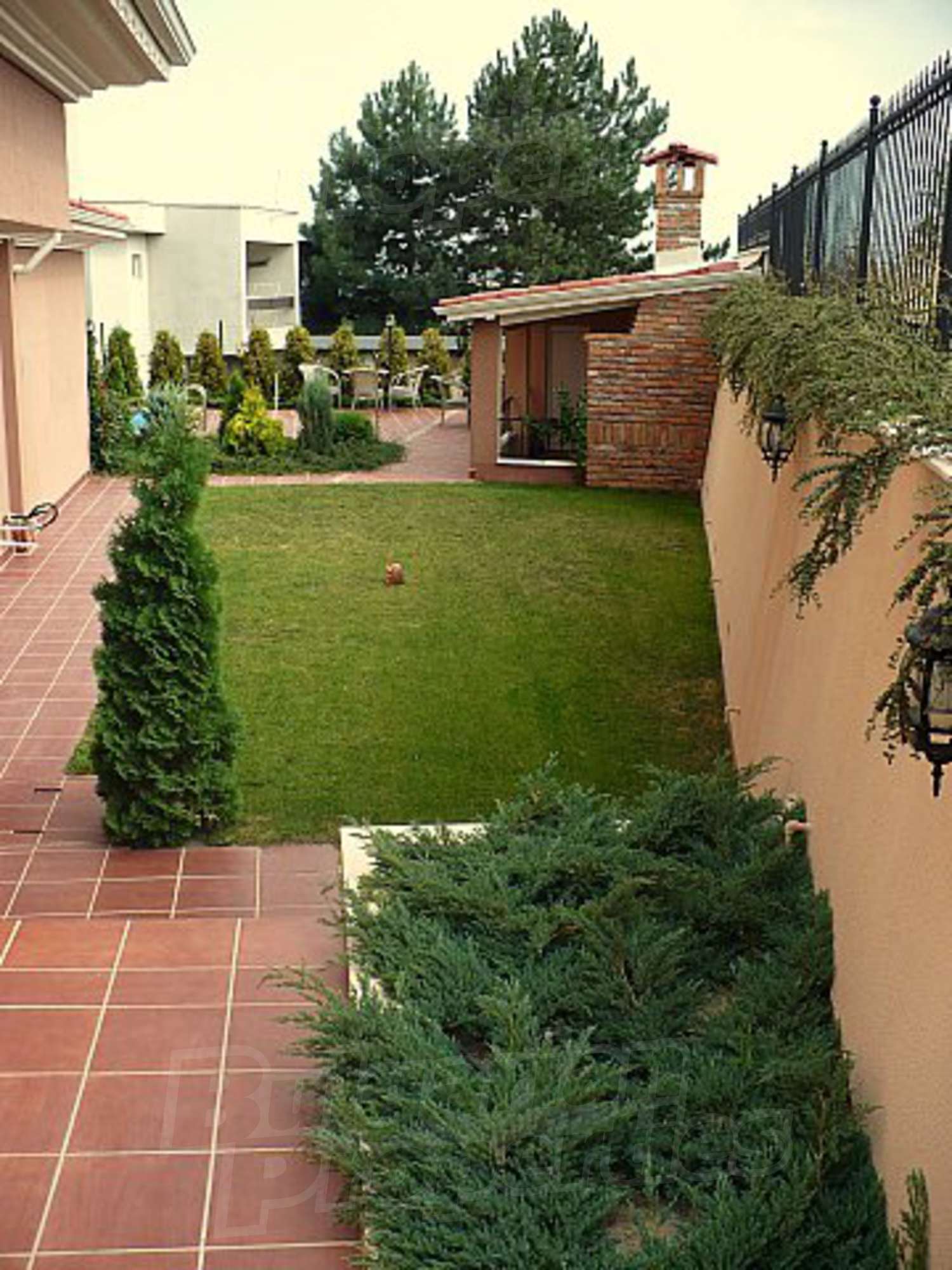 Gallery Picture 16