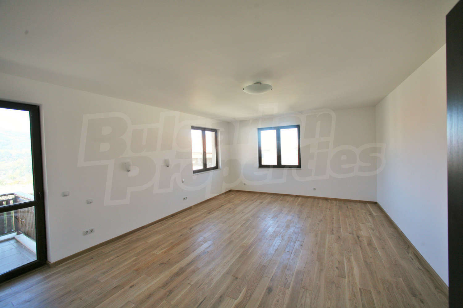 Gallery Picture 14