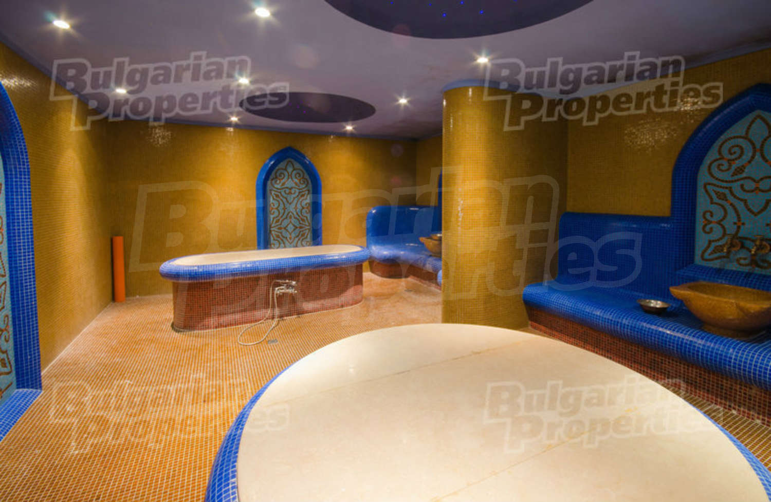 Gallery Picture 19