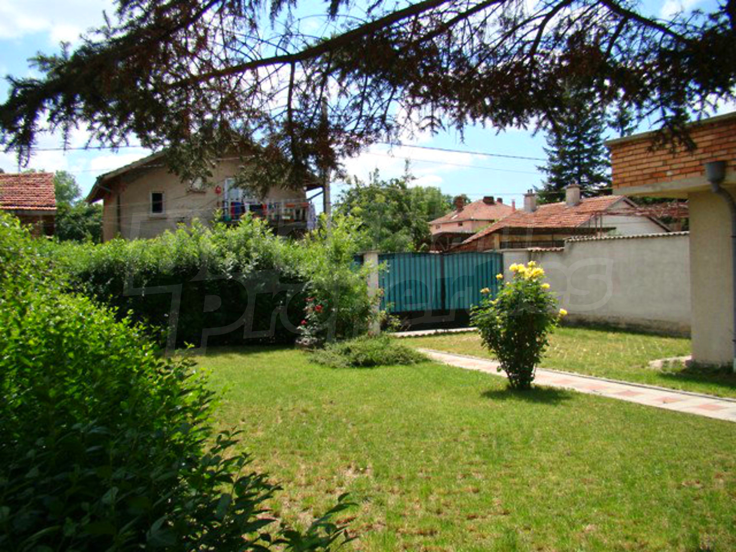 Gallery Picture 11