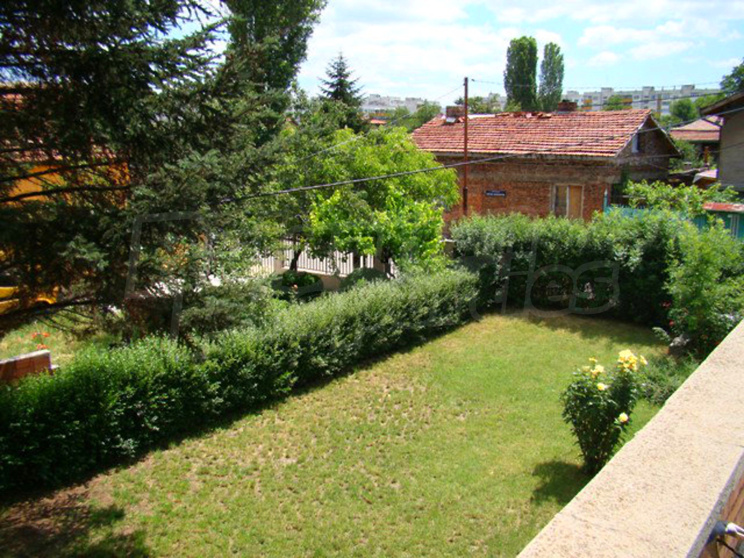 Gallery Picture 19