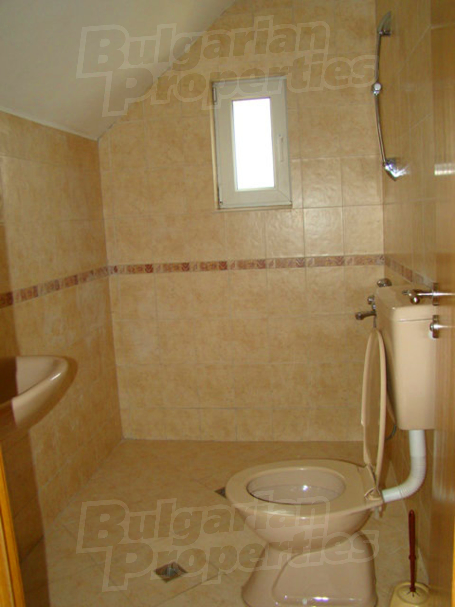 Gallery Picture 50