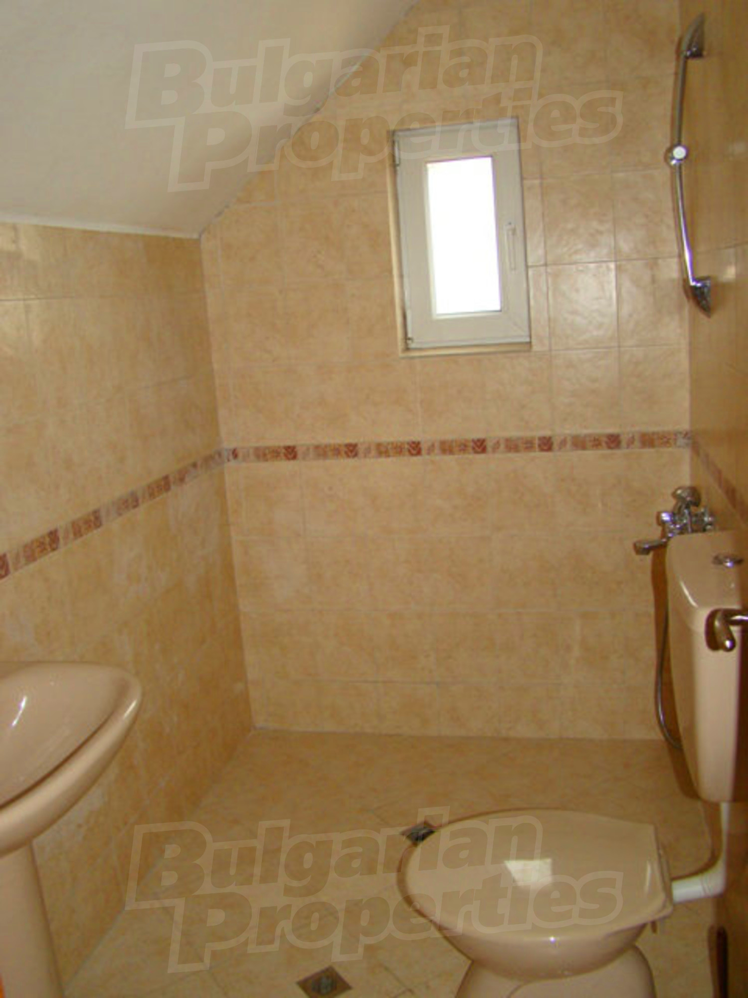 Gallery Picture 51