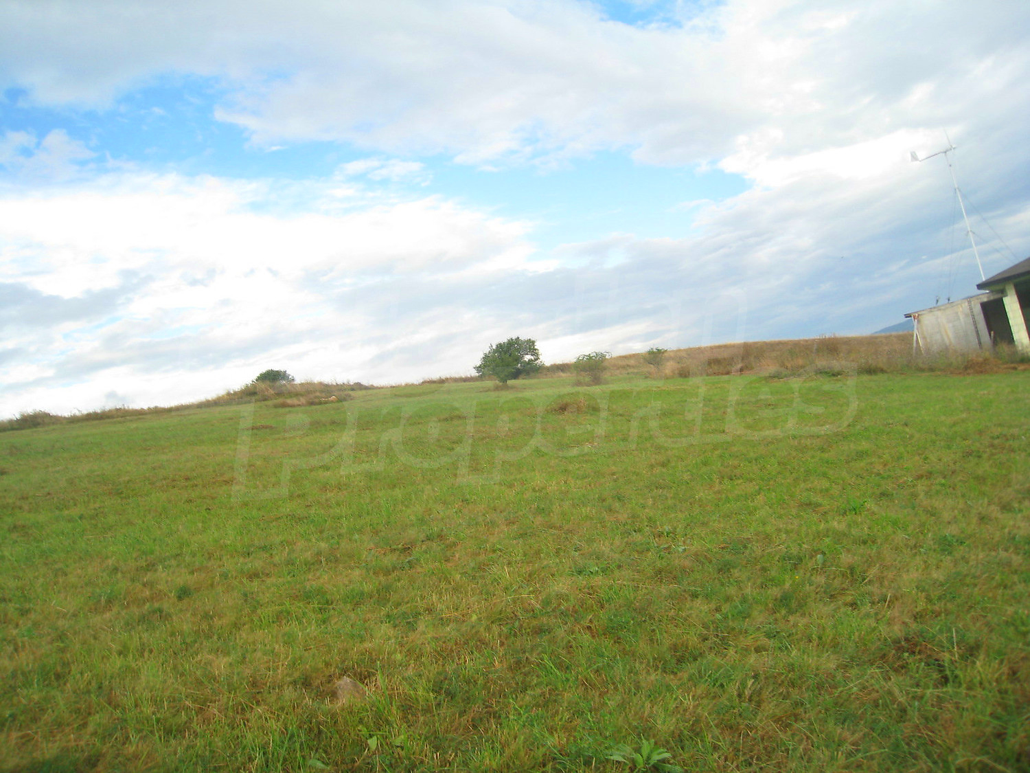 Gallery Picture 15
