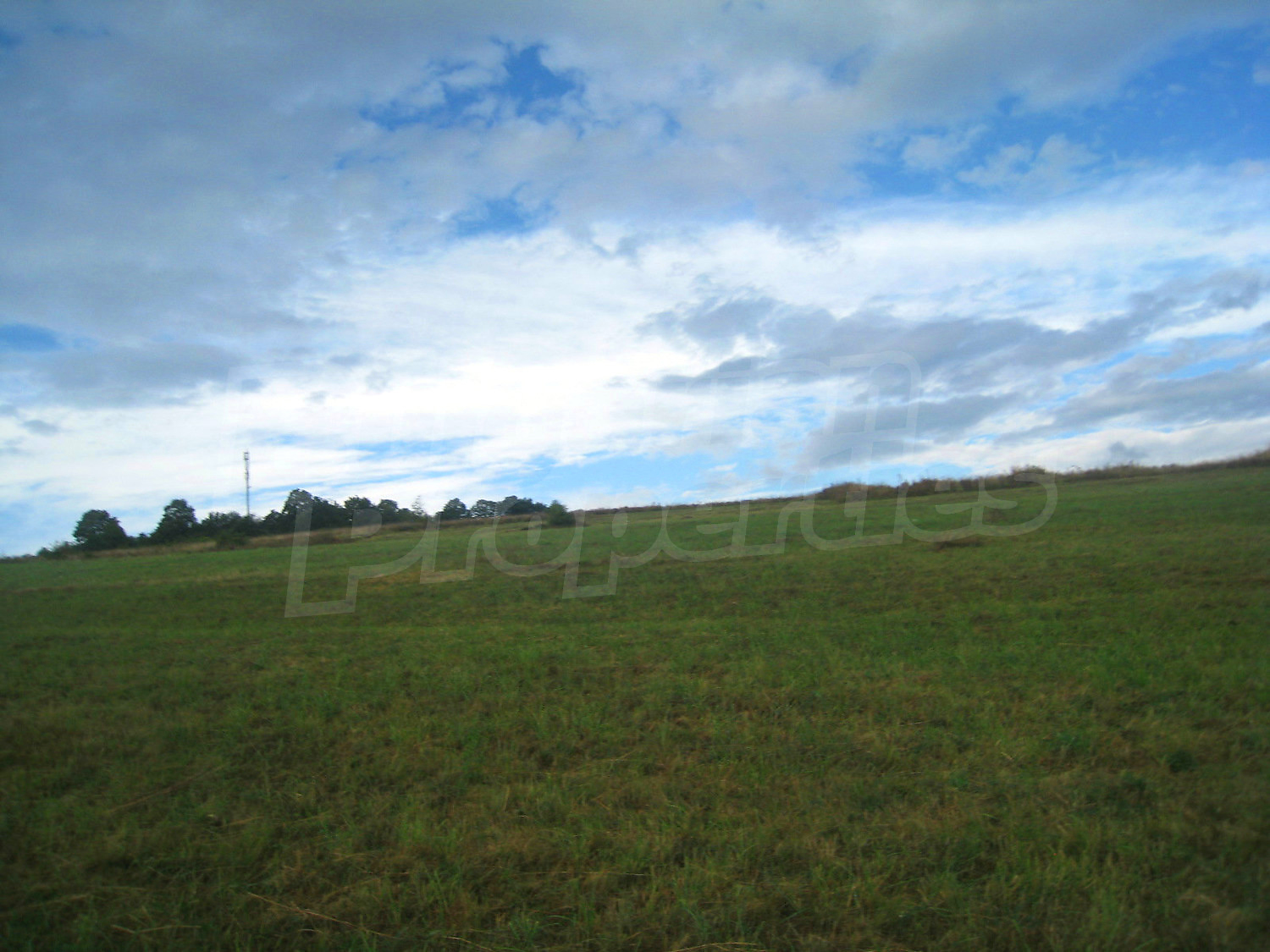 Gallery Picture 16