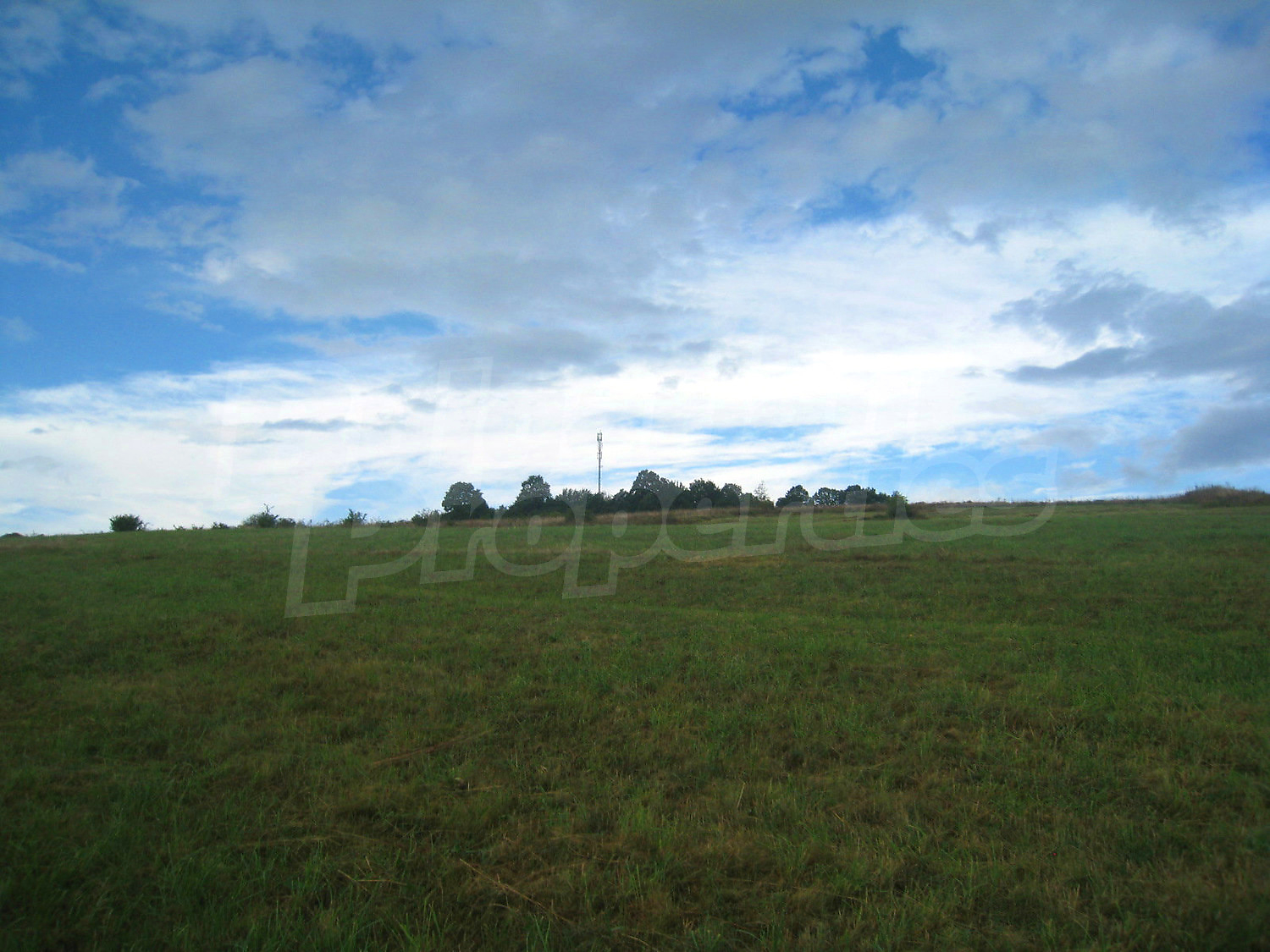 Gallery Picture 17