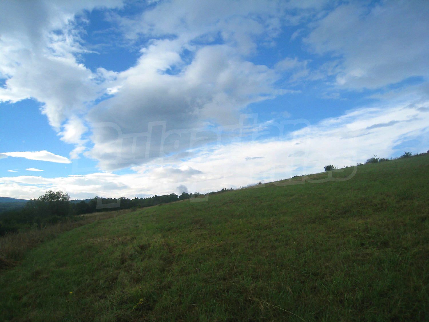 Gallery Picture 18