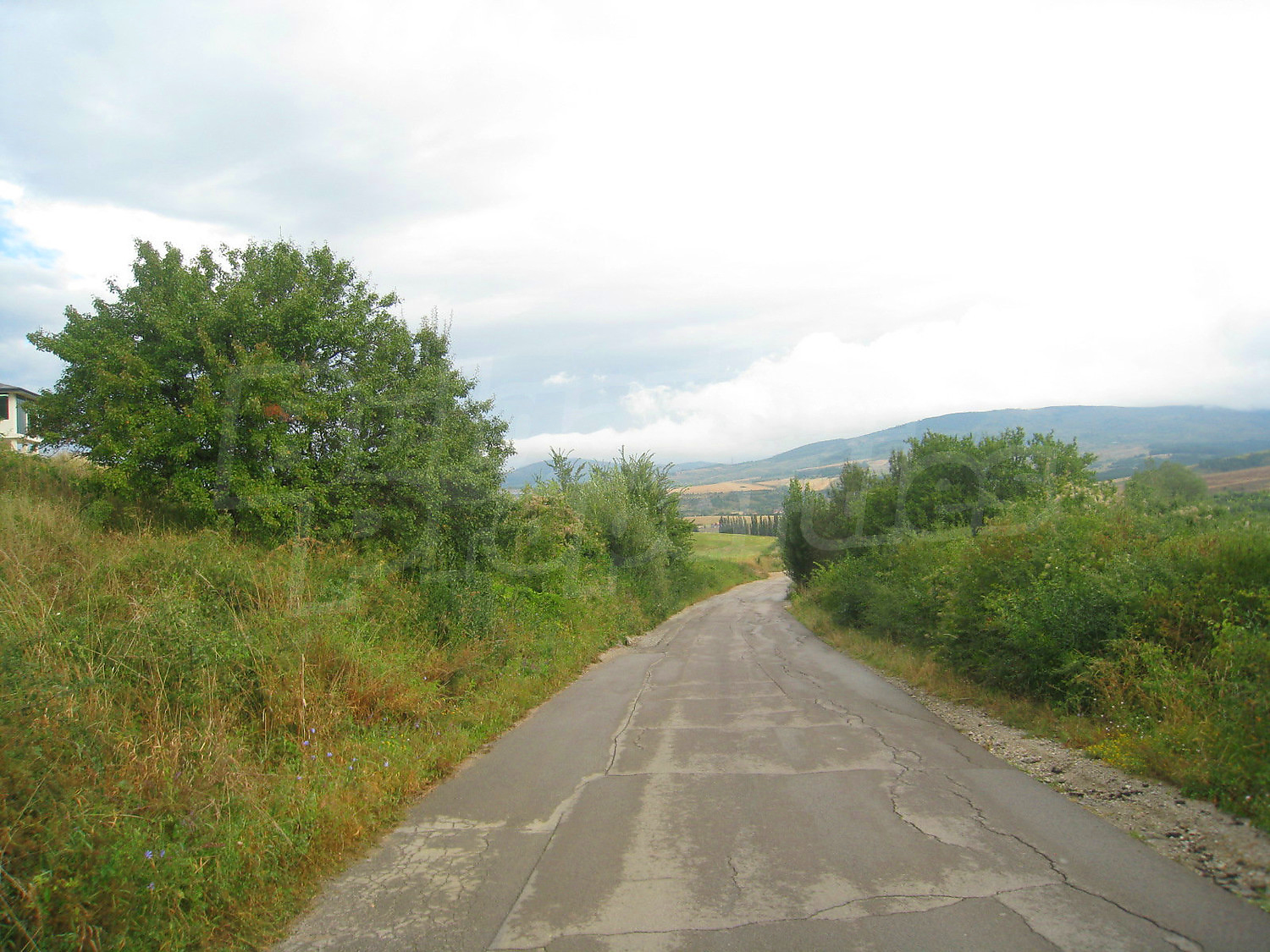 Gallery Picture 28