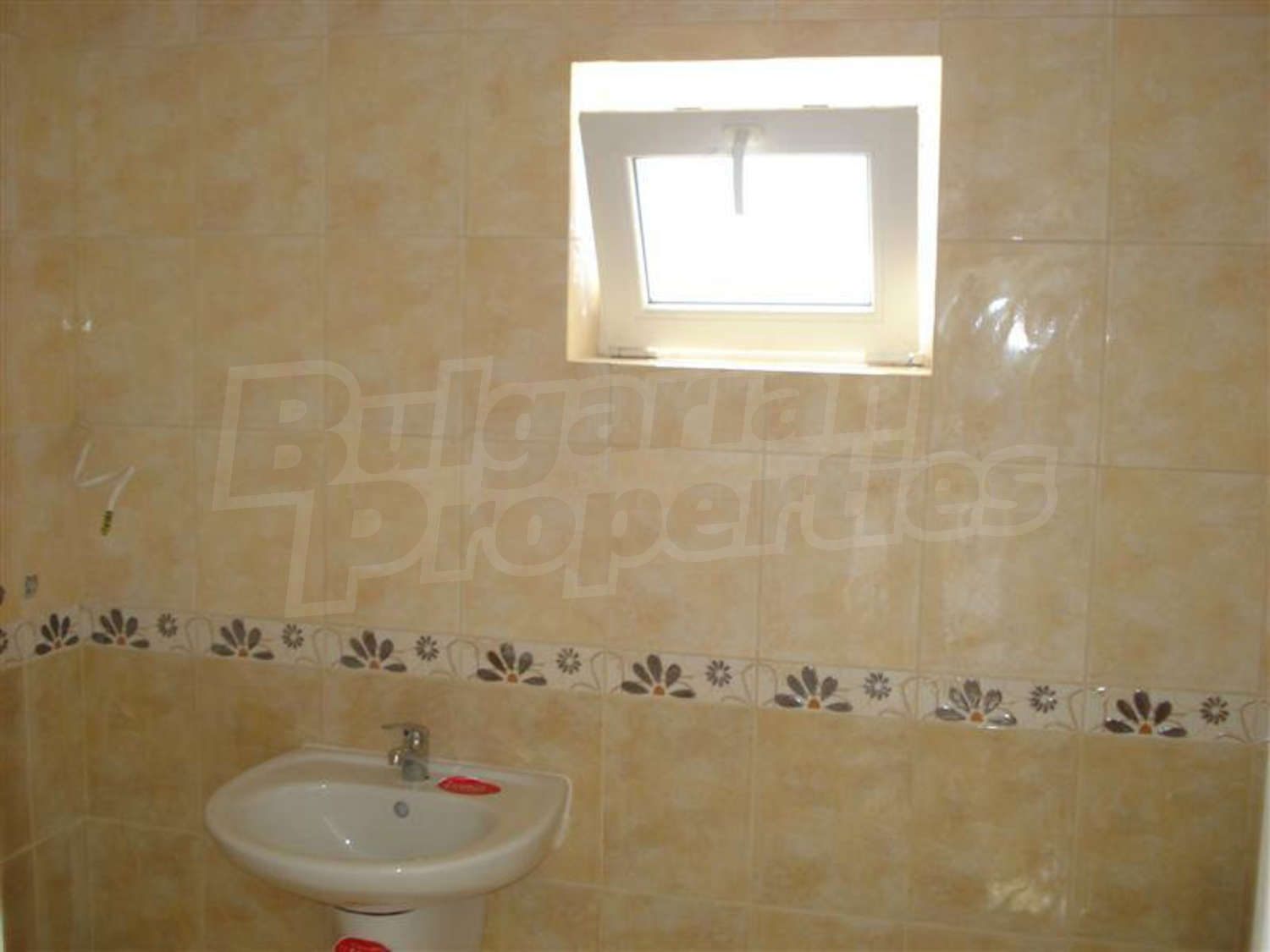 Gallery Picture 26