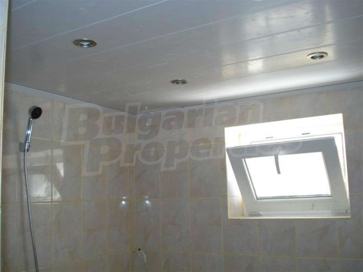 Gallery Picture 32