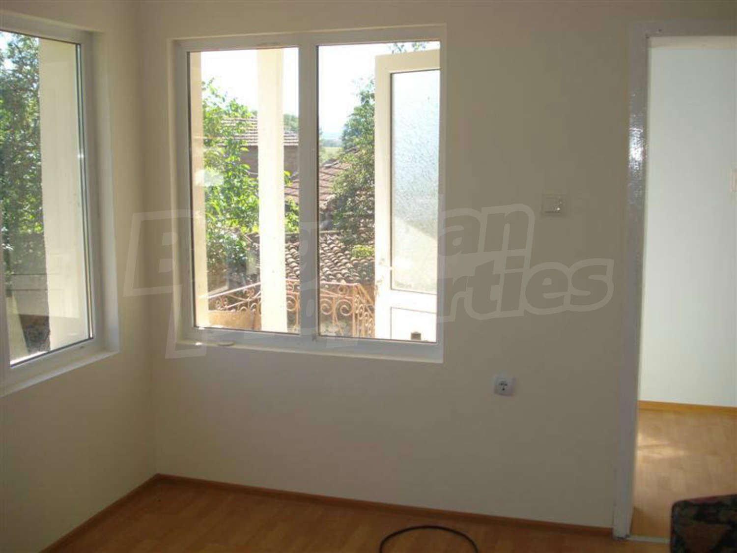 Gallery Picture 38