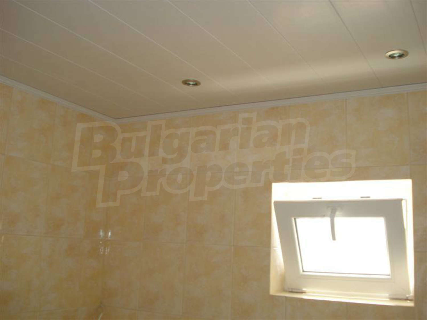 Gallery Picture 44