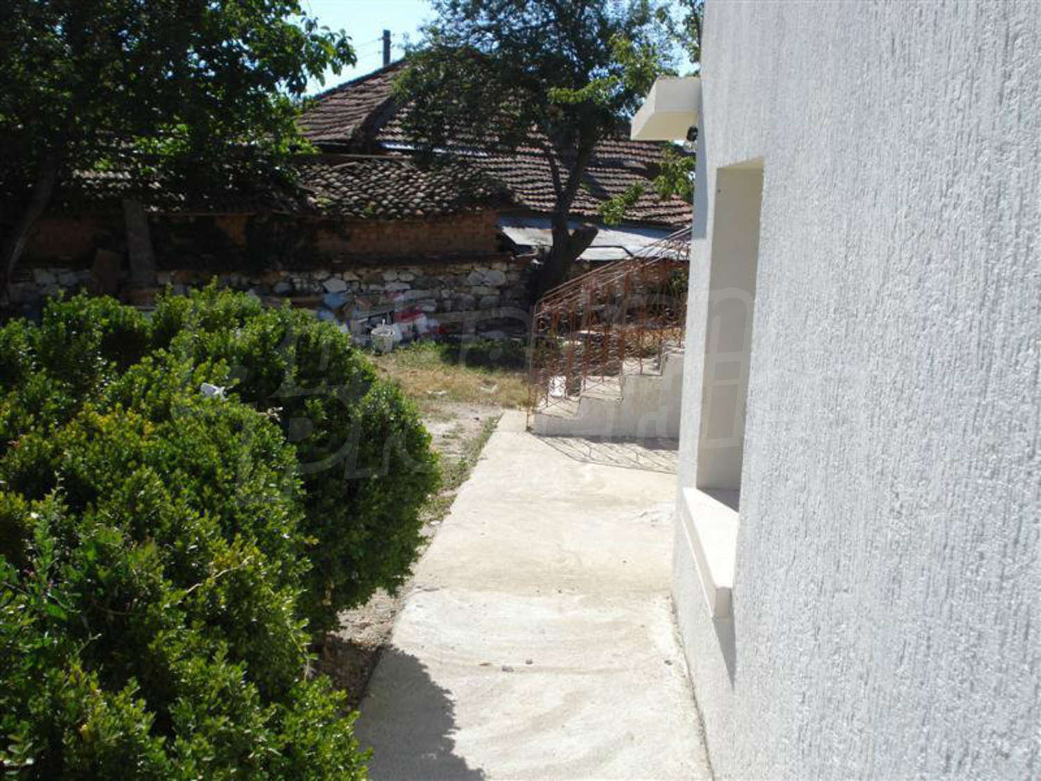 Gallery Picture 54