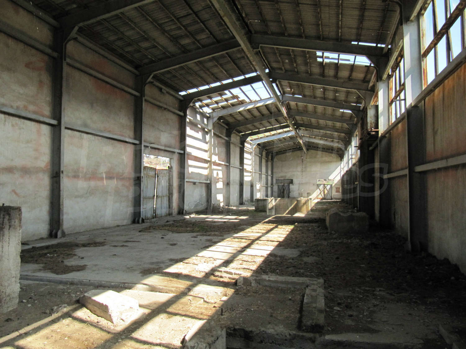 Gallery Picture 6