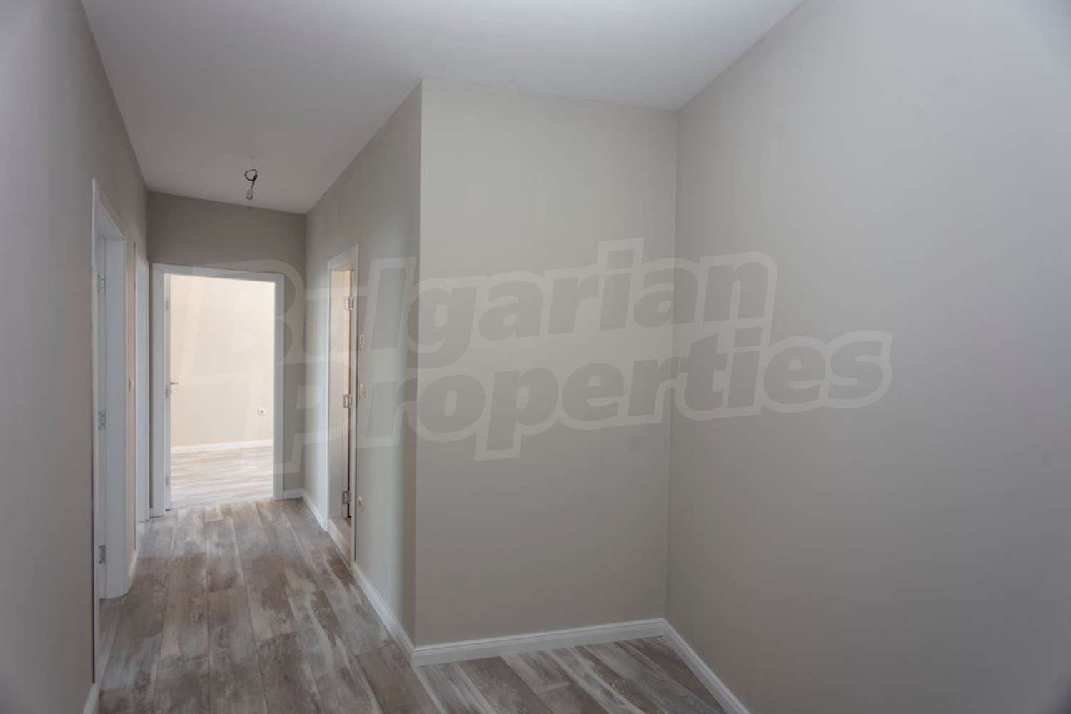 Gallery Picture 7