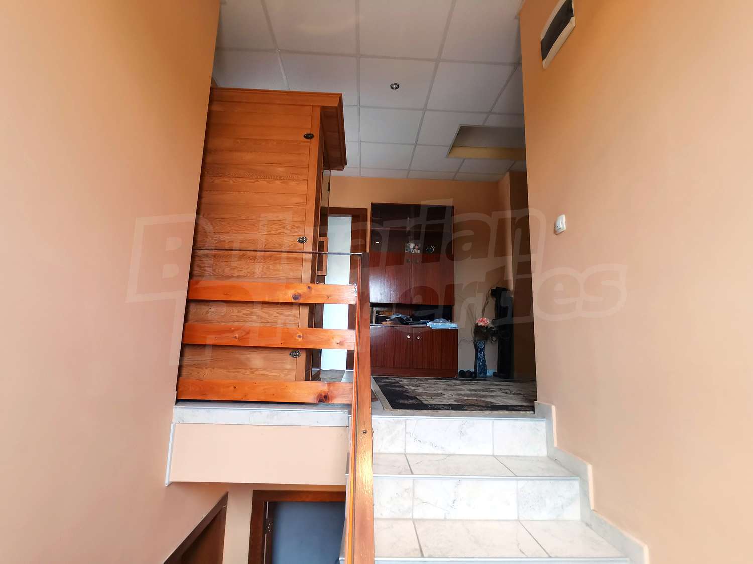 Gallery Picture 17