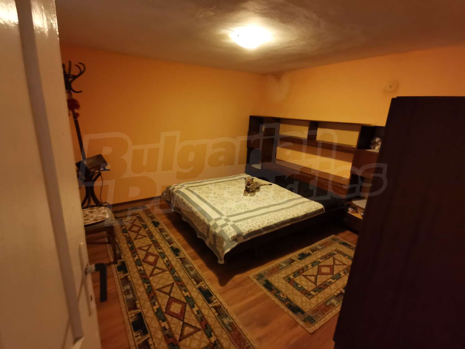 Gallery Picture 16