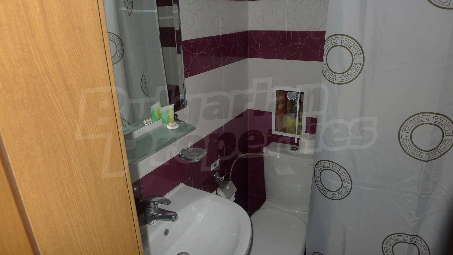Gallery Picture 18