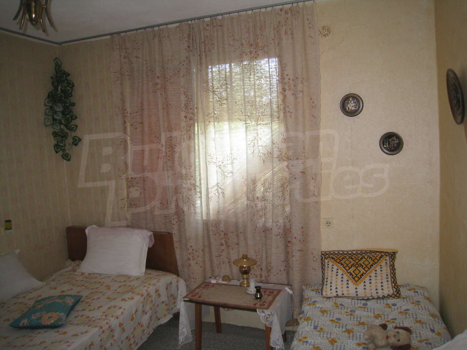 Gallery Picture 16