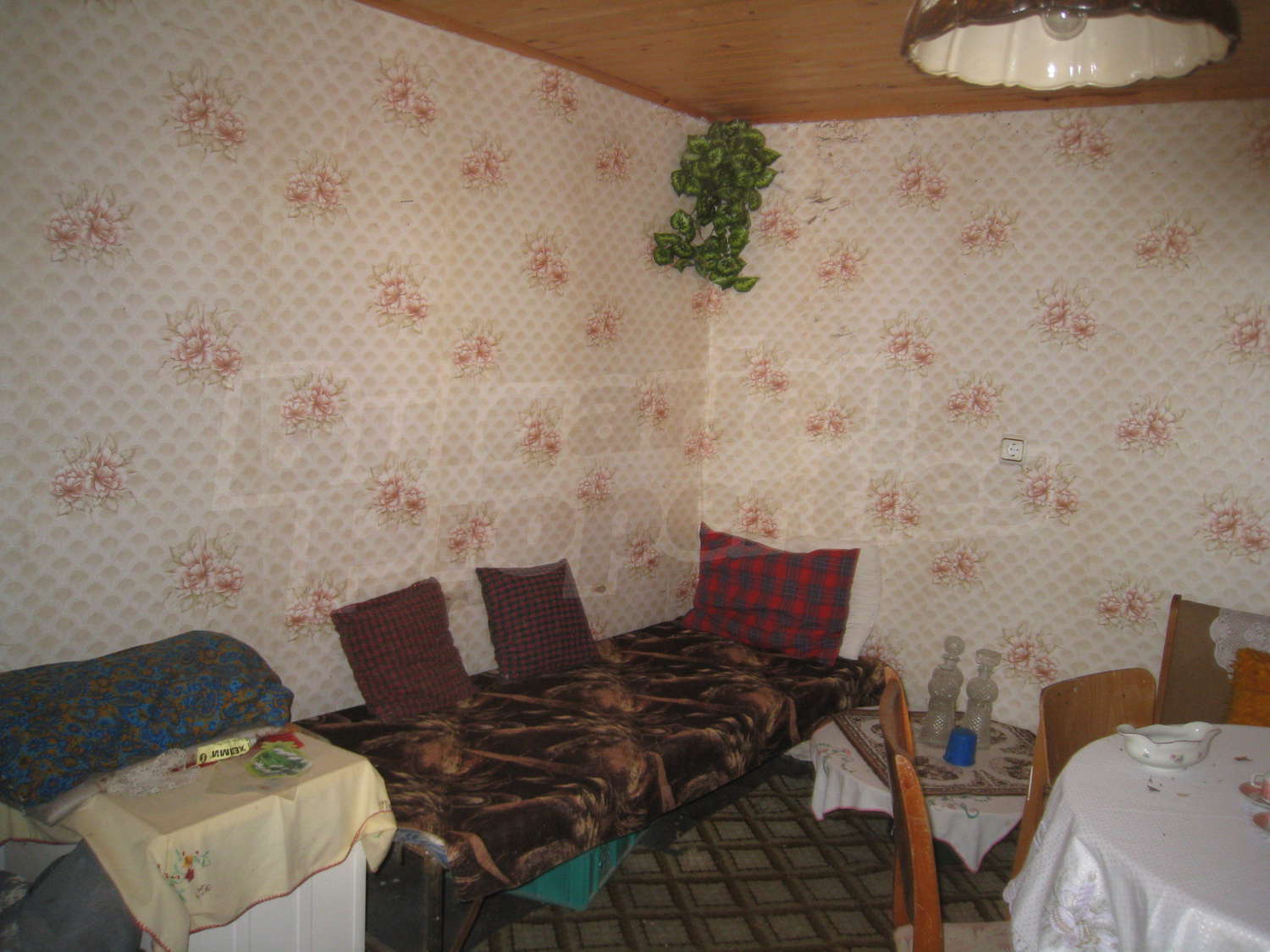 Gallery Picture 22