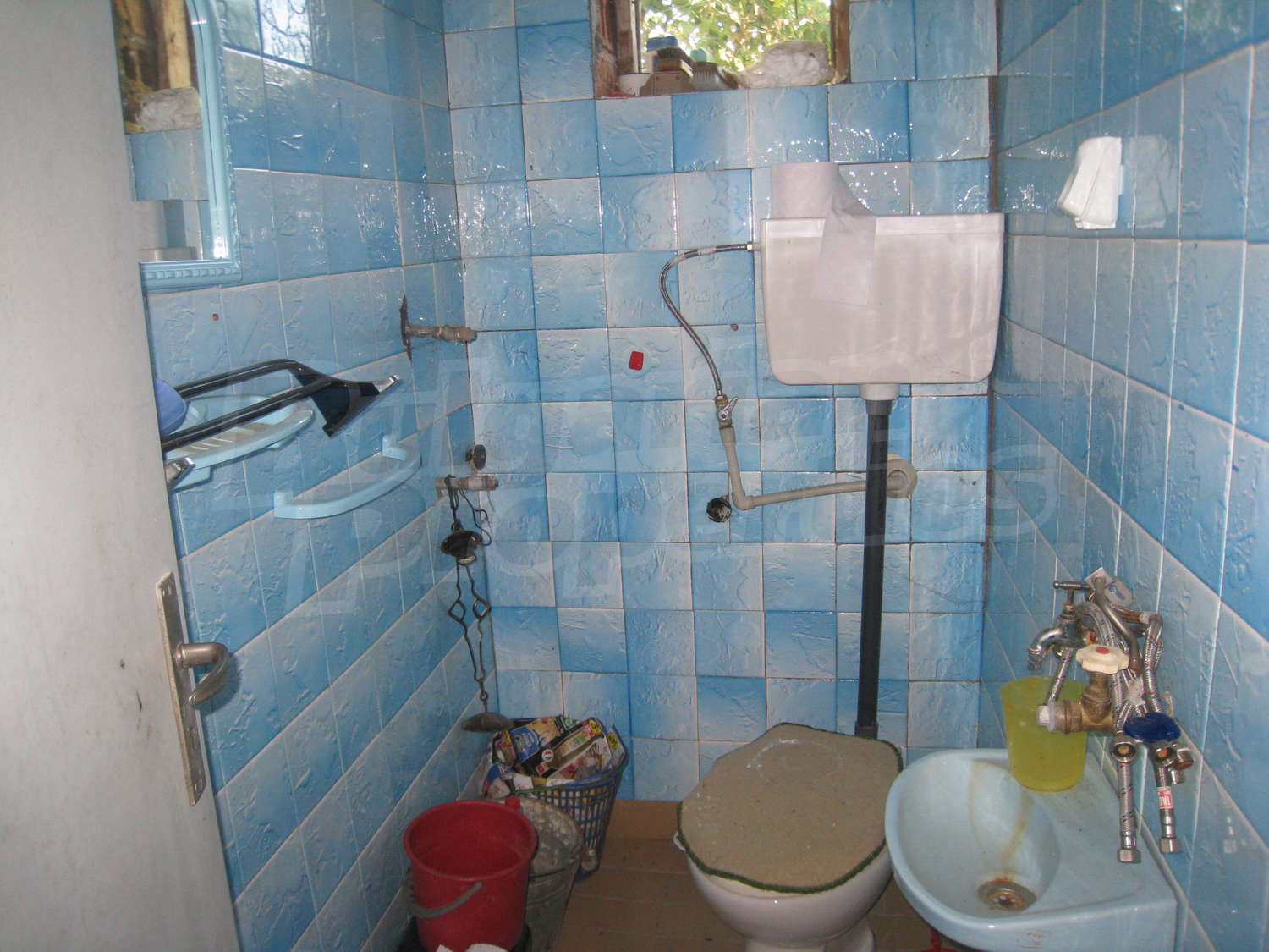 Gallery Picture 23
