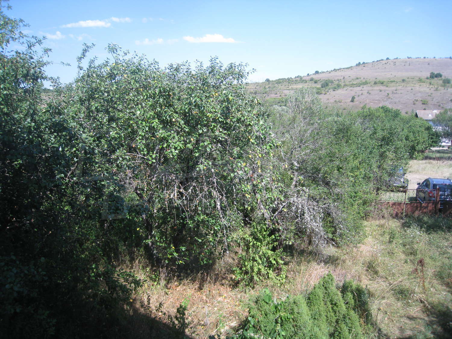 Gallery Picture 29