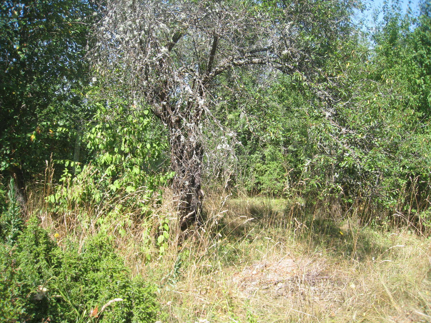 Gallery Picture 31