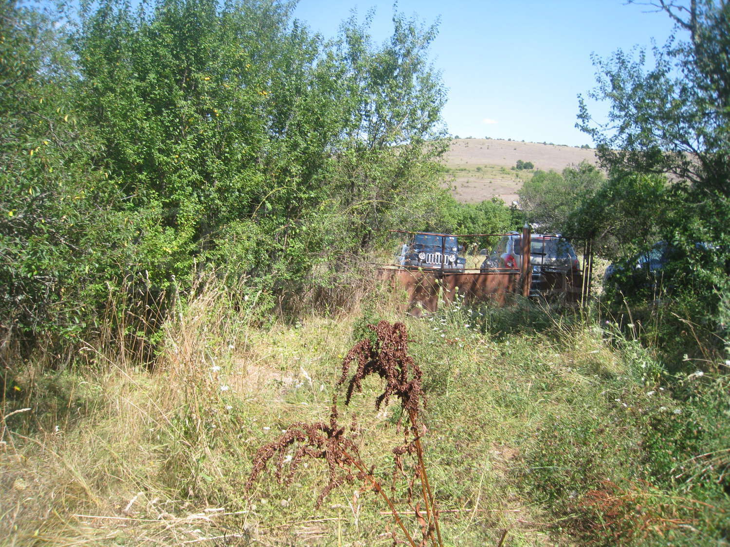 Gallery Picture 32