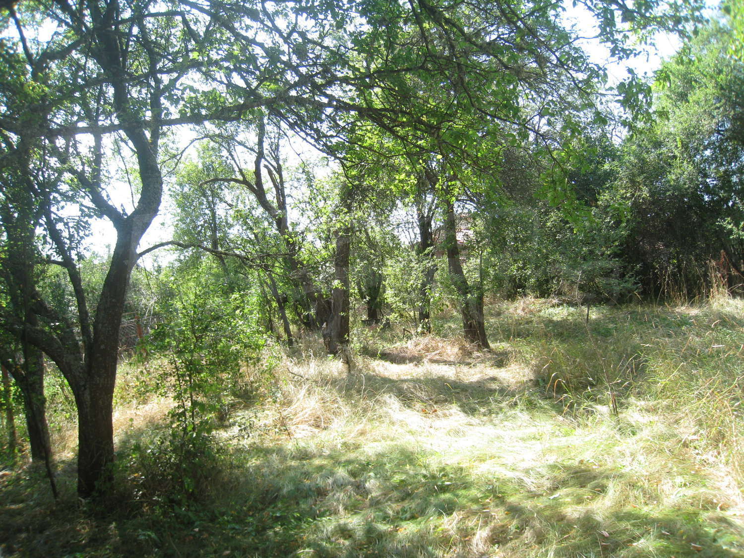 Gallery Picture 35