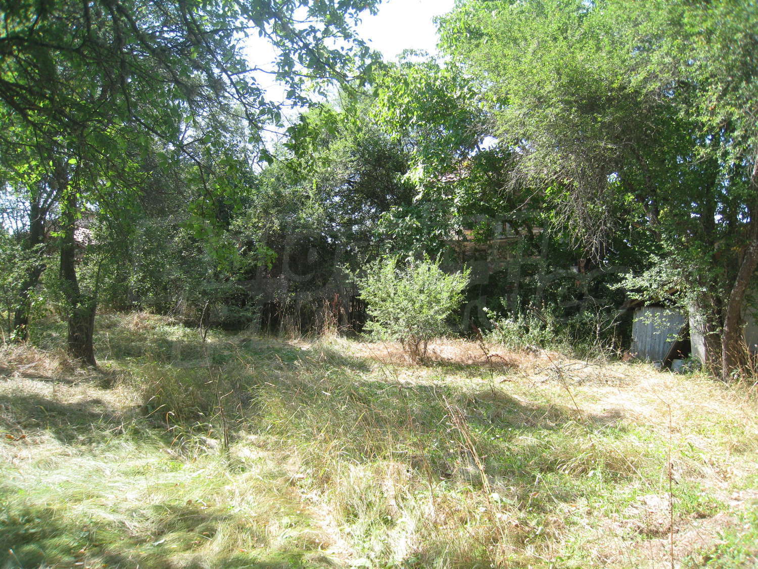 Gallery Picture 36