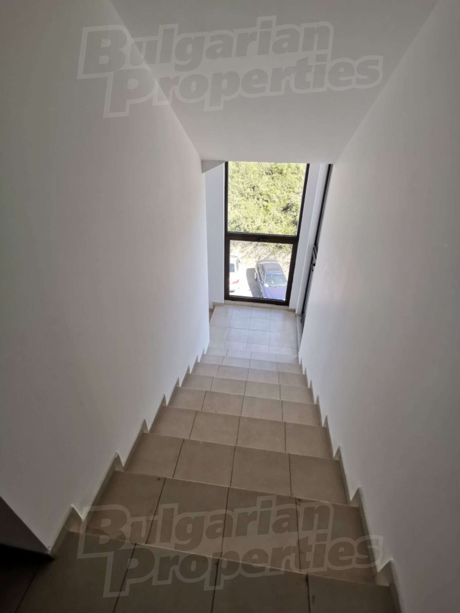 Gallery Picture 24