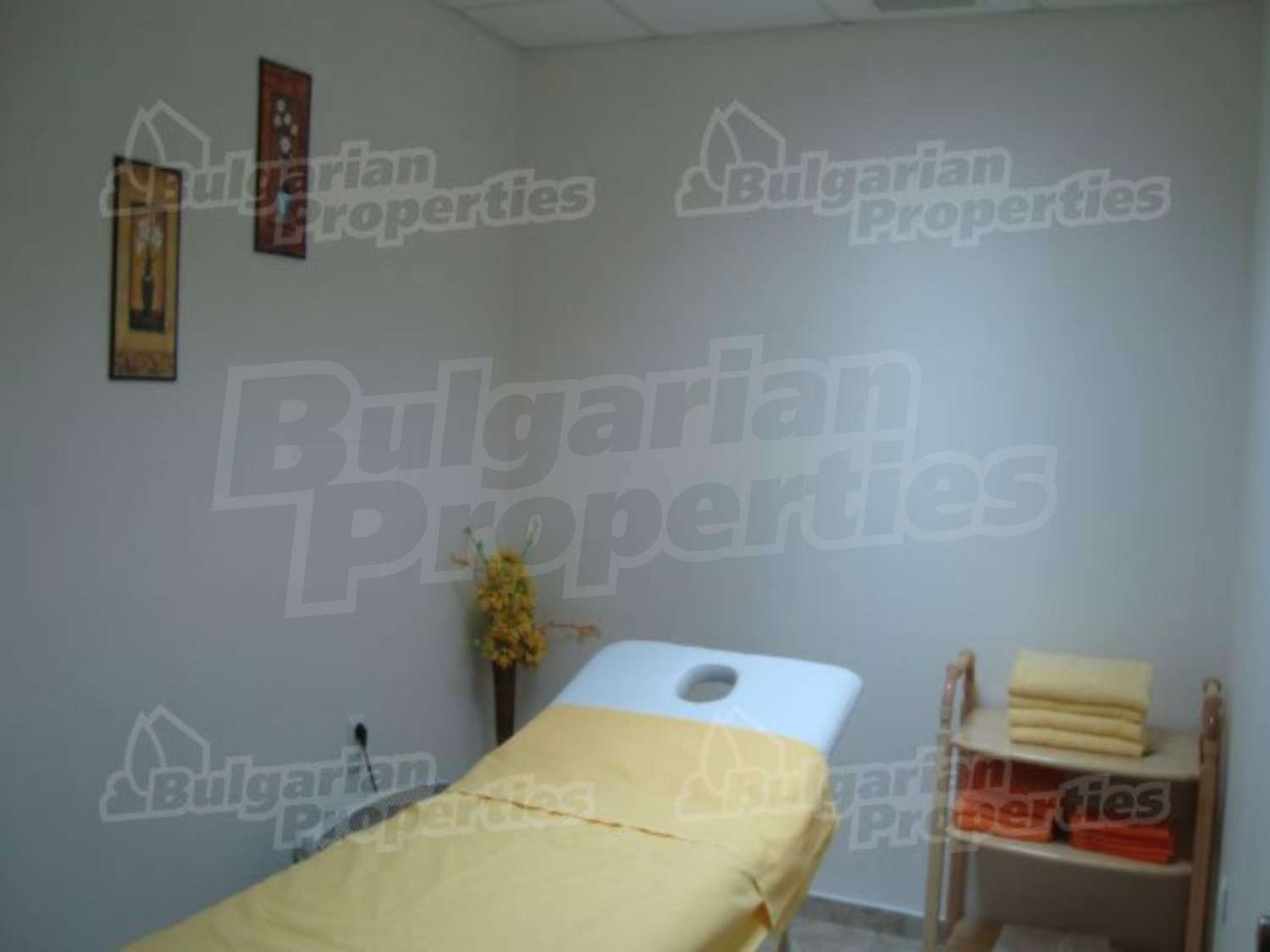 Gallery Picture 15