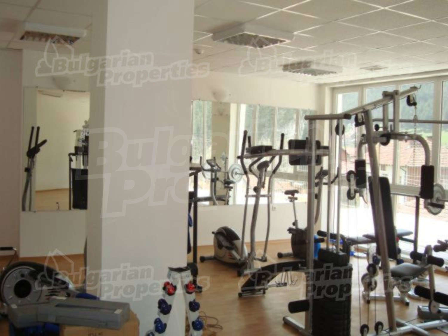 Gallery Picture 17