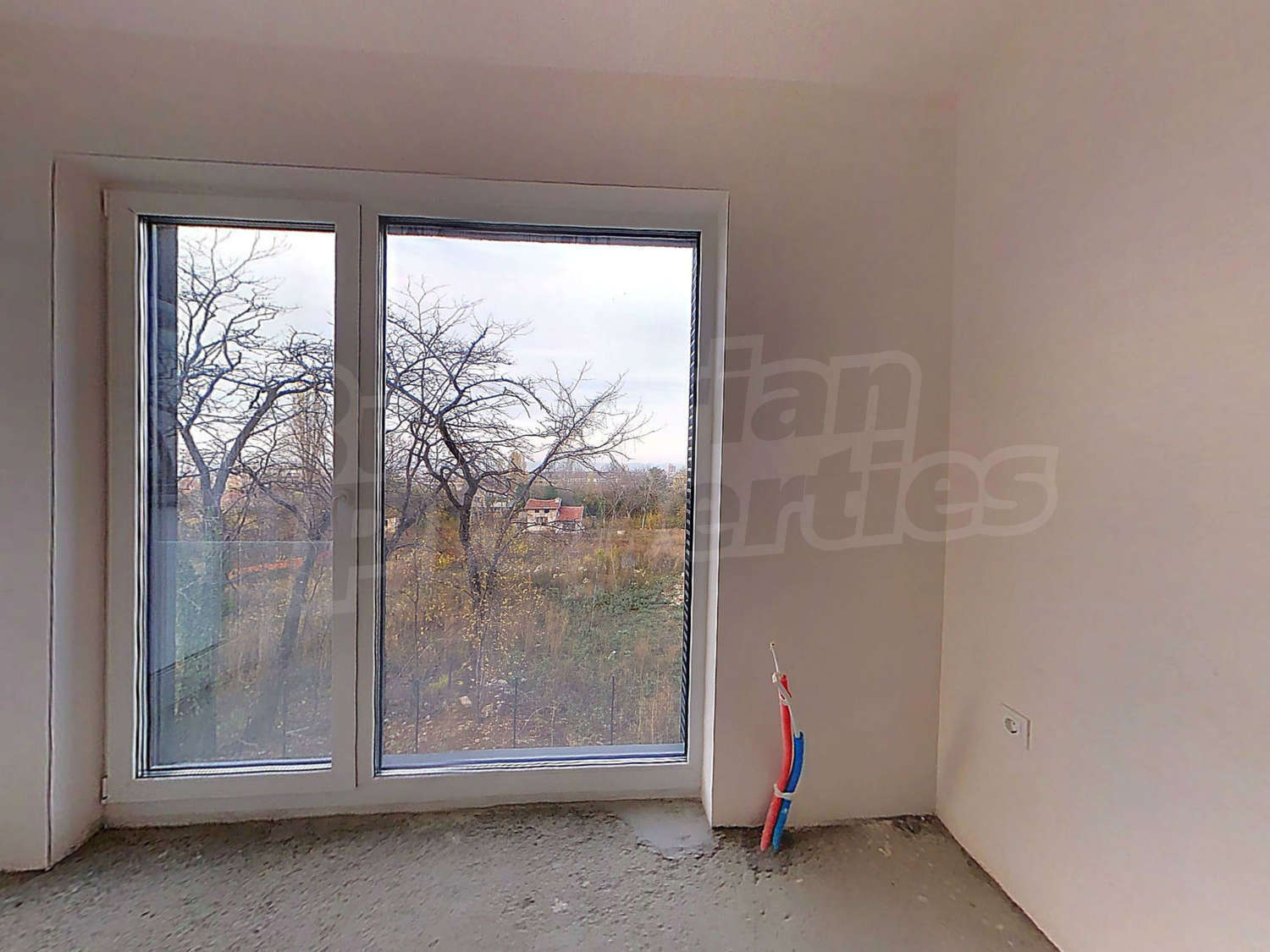 Gallery Picture 10