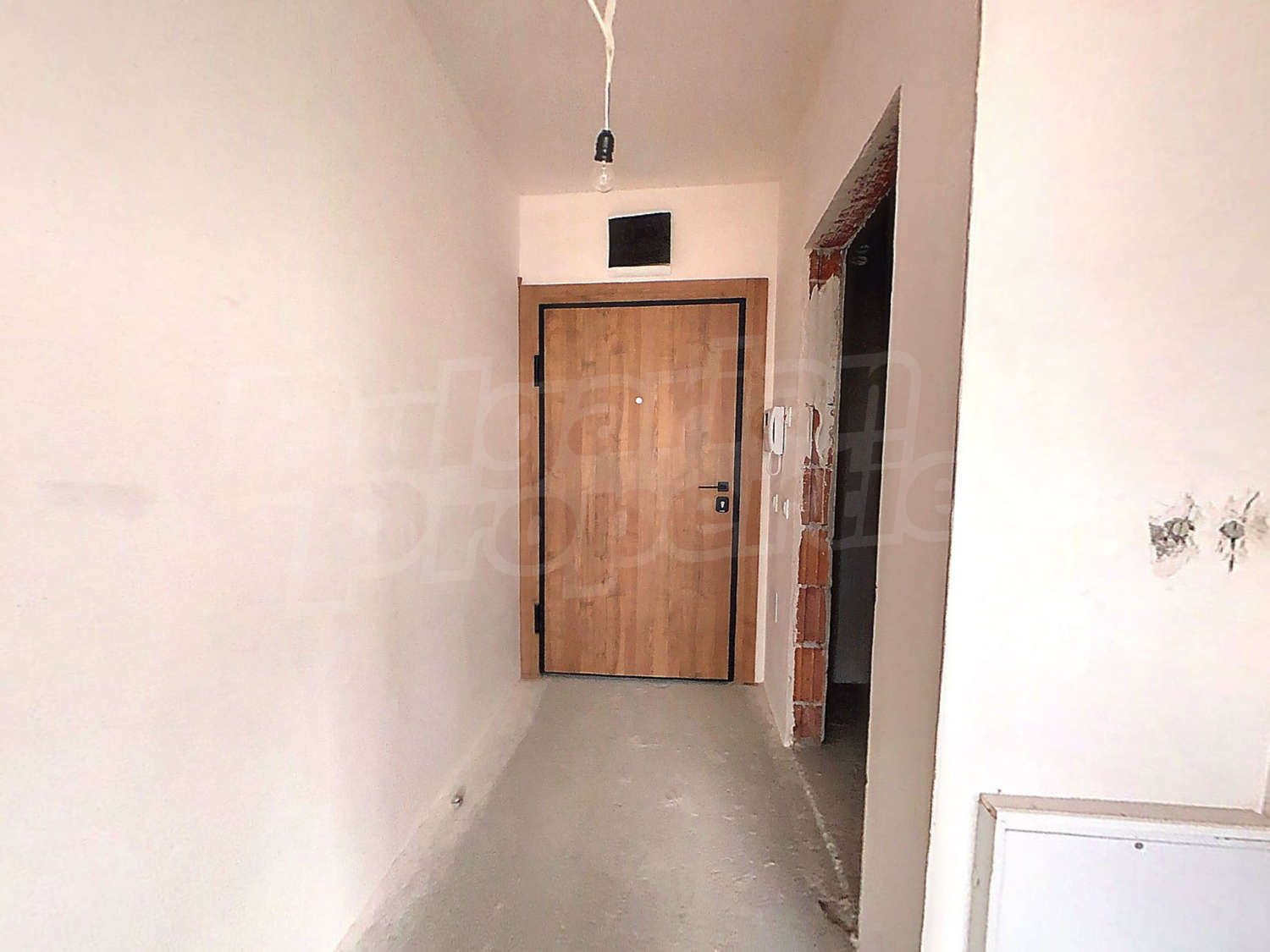 Gallery Picture 13
