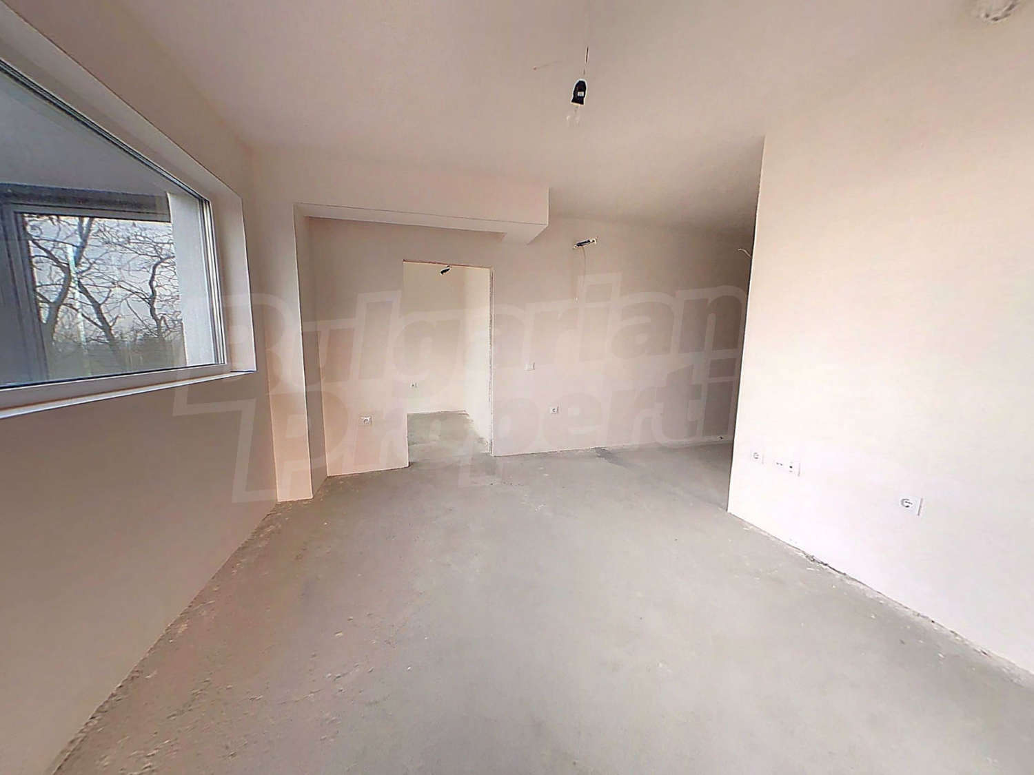 Gallery Picture 6