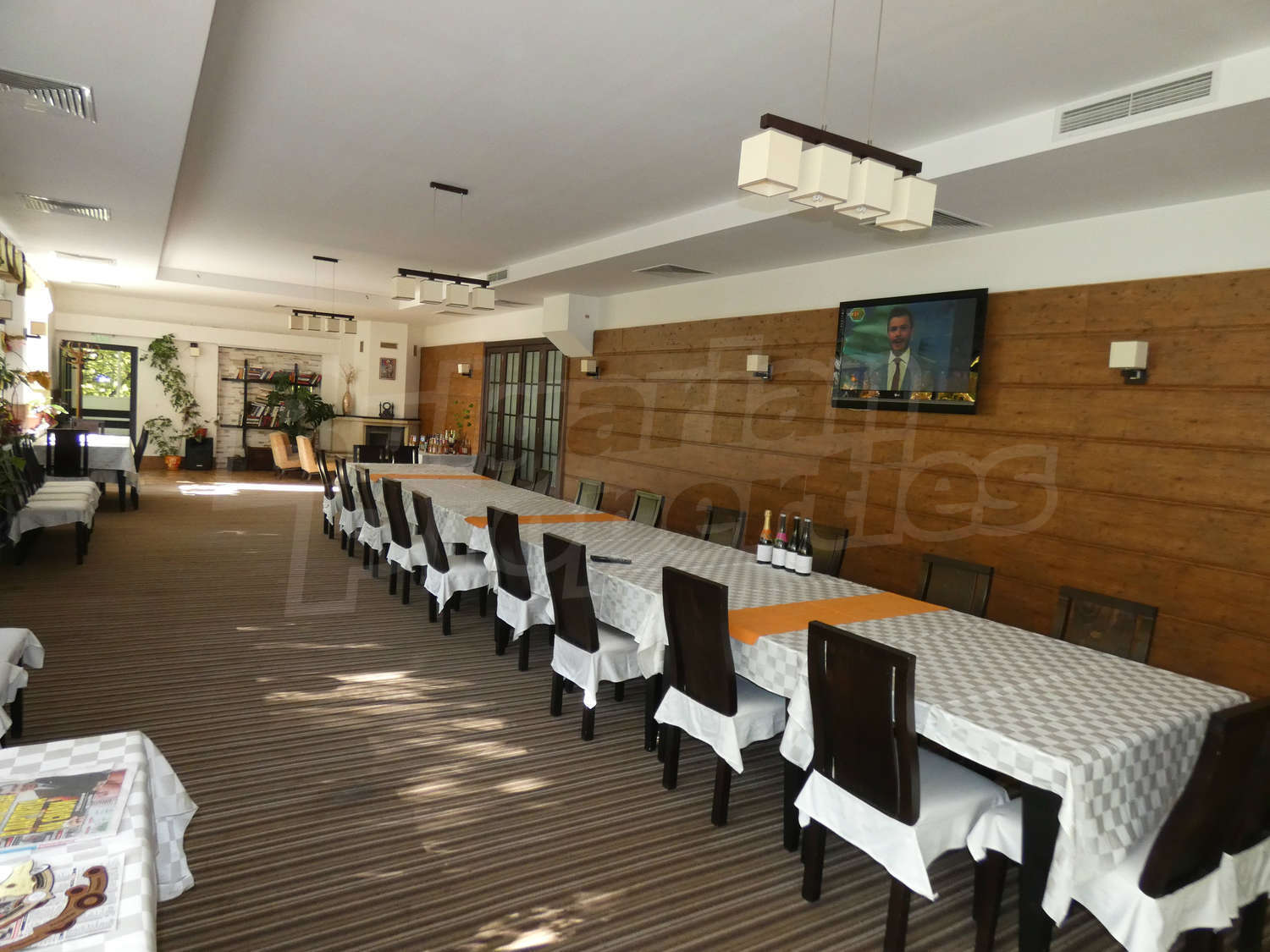 Gallery Picture 31