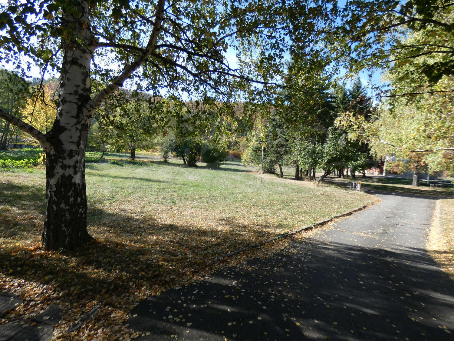 Gallery Picture 47