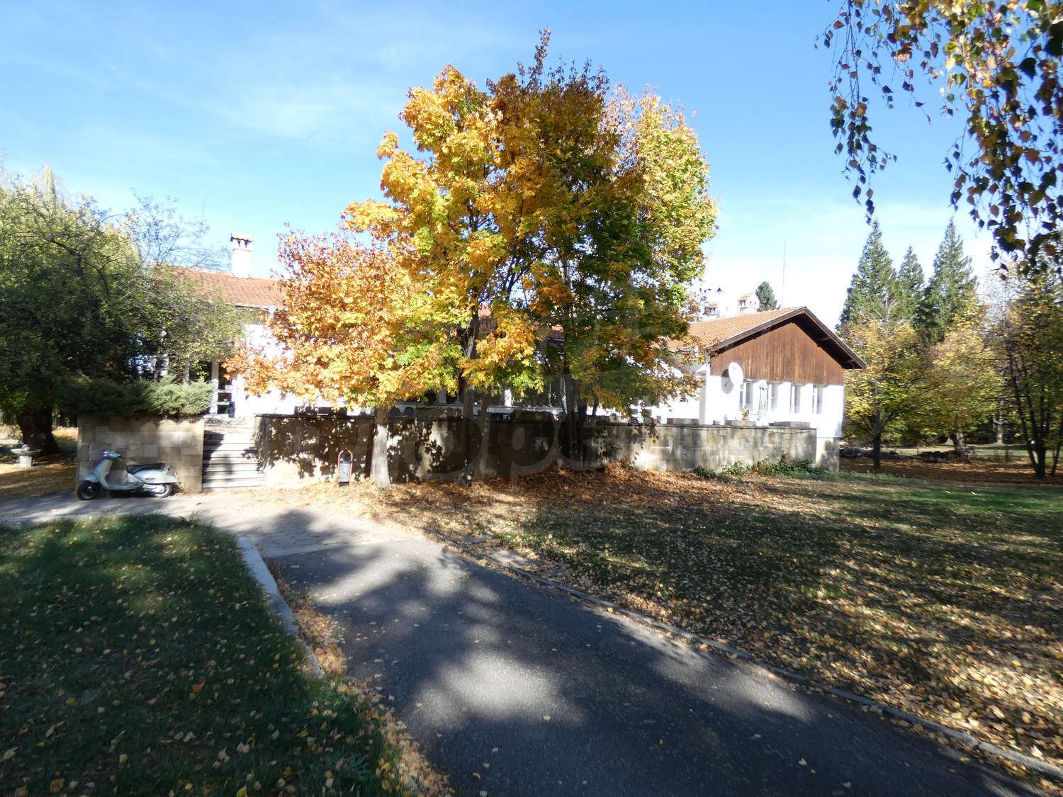 Gallery Picture 51