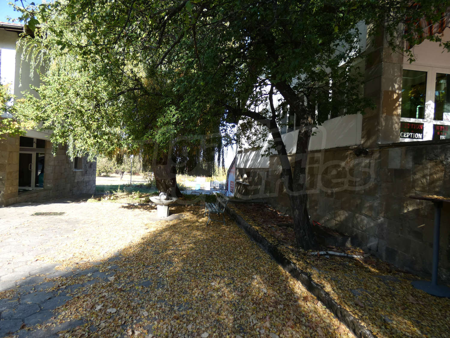 Gallery Picture 53