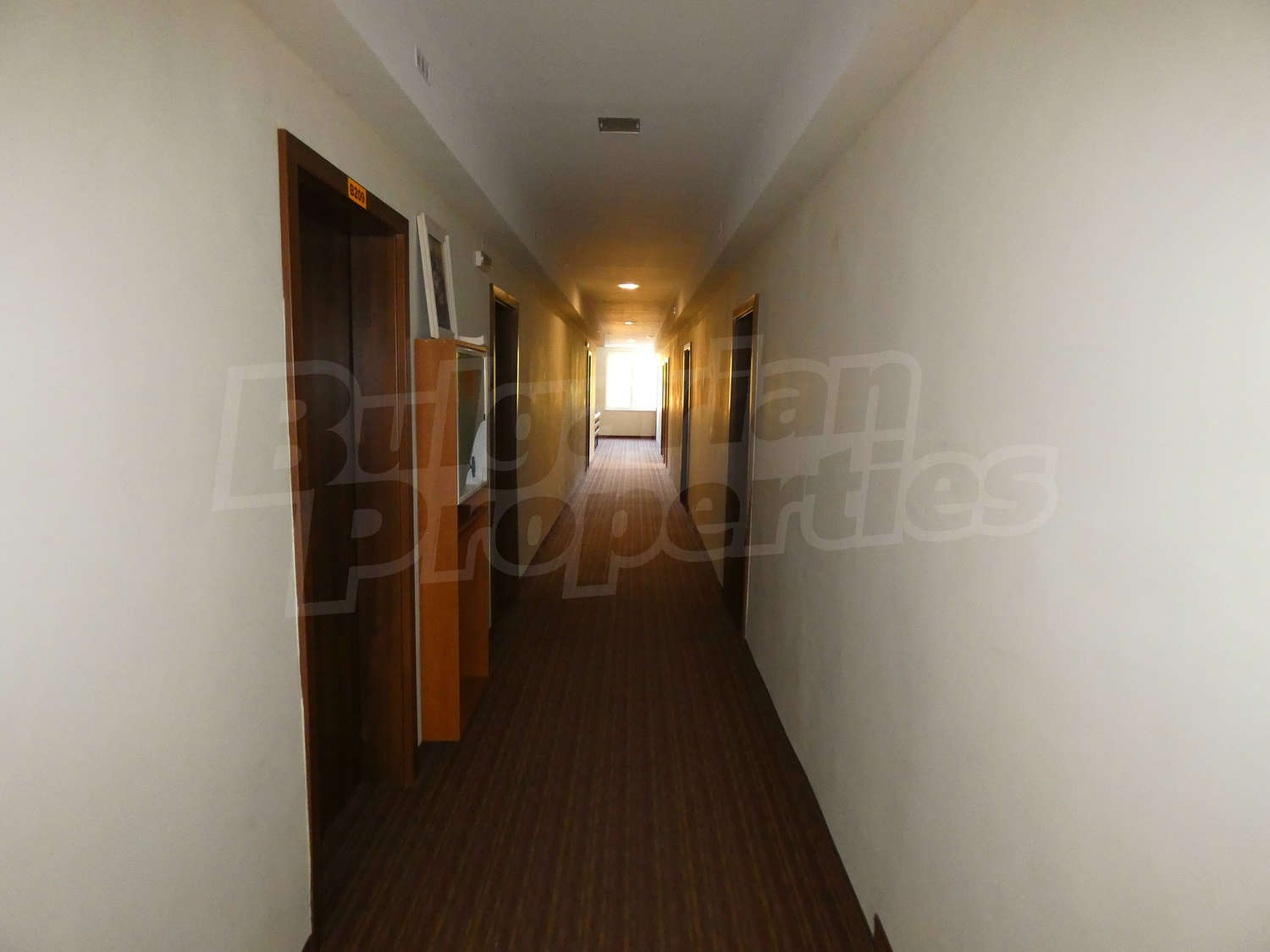 Gallery Picture 6