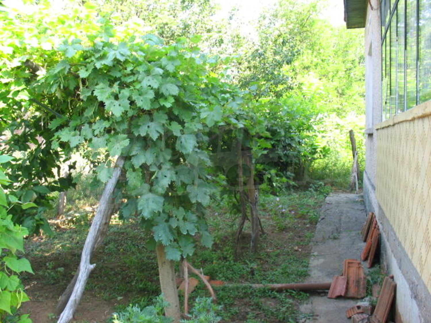 Gallery Picture 14