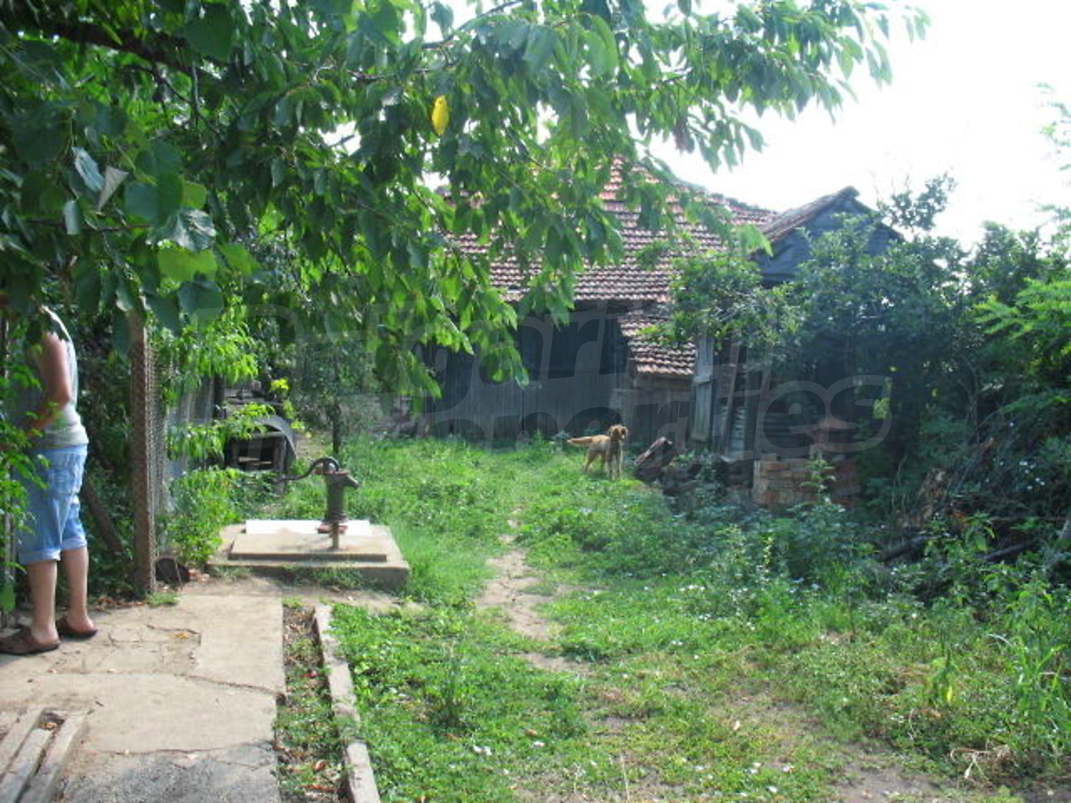 Gallery Picture 15