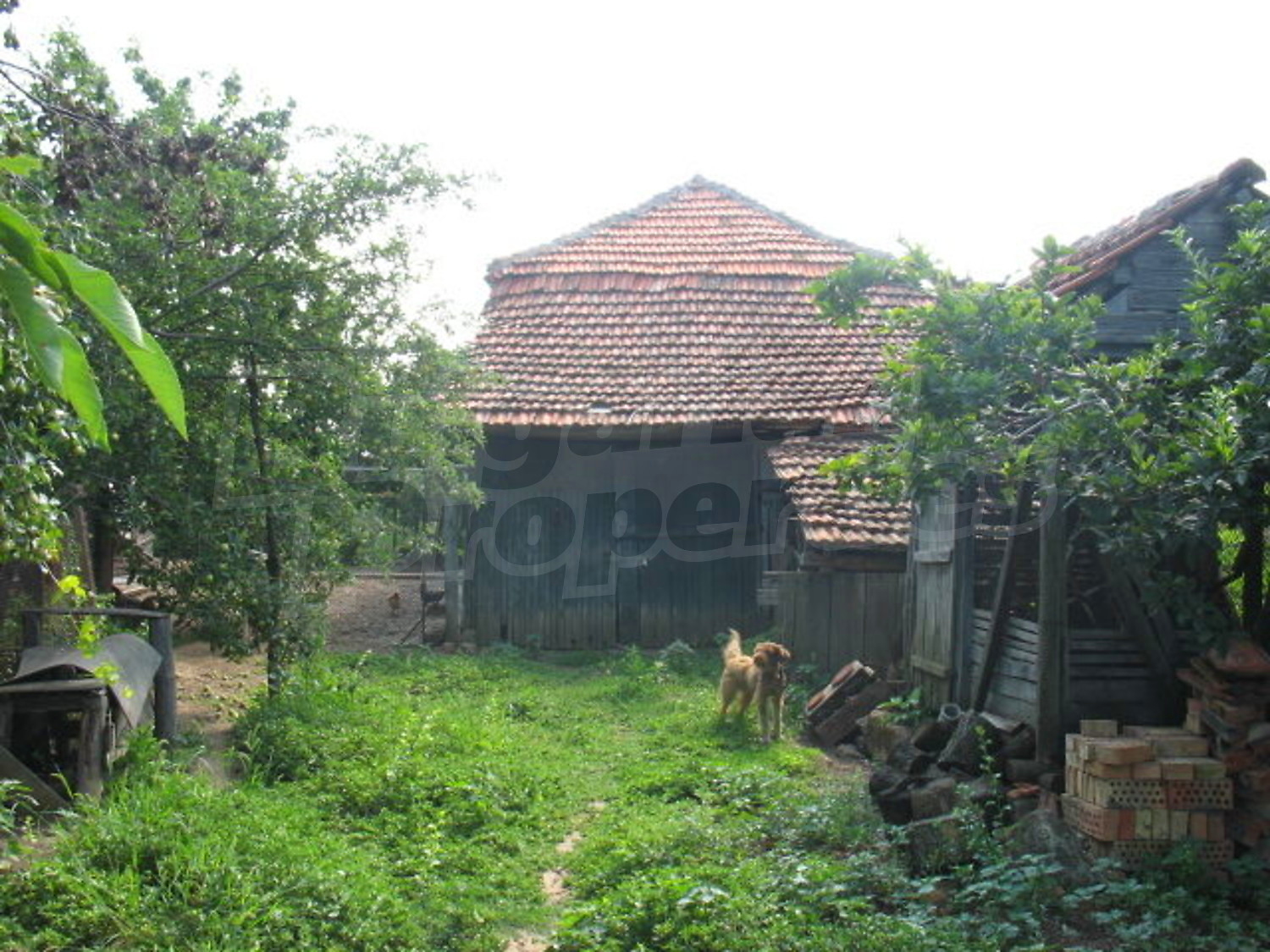 Gallery Picture 16