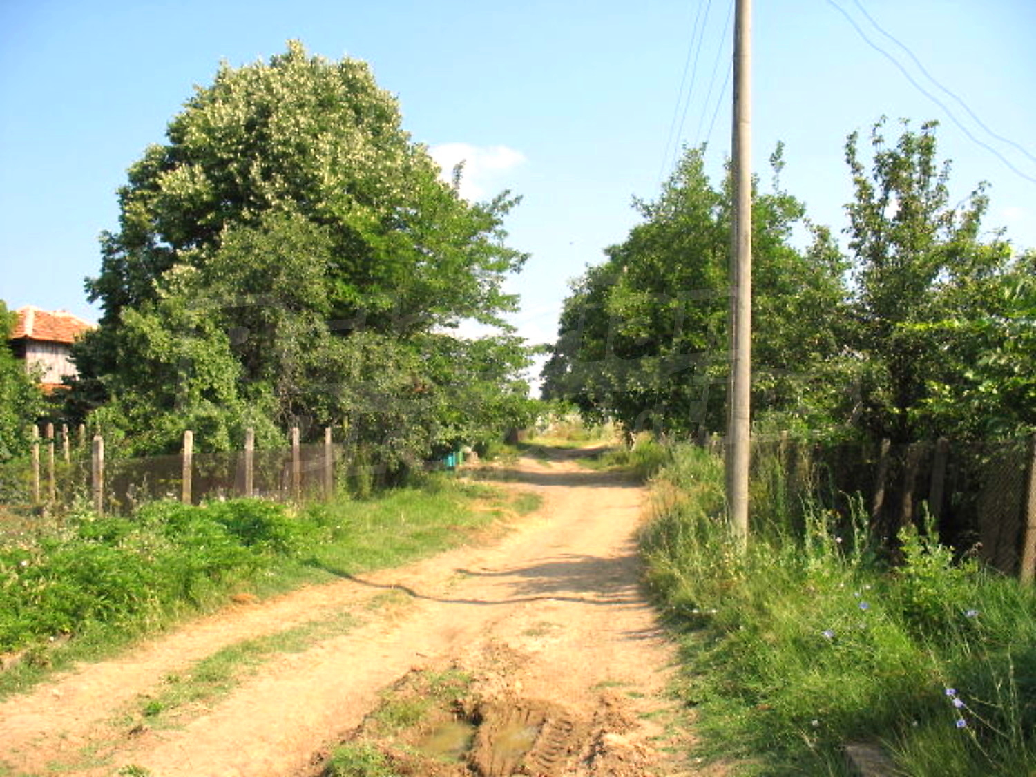 Gallery Picture 19