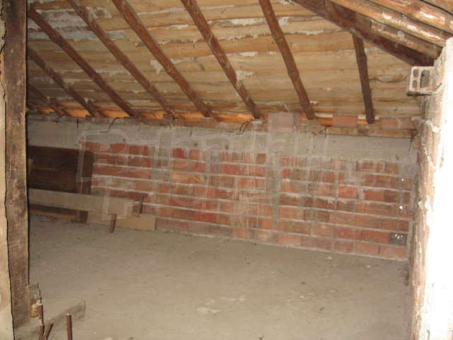 Gallery Picture 17